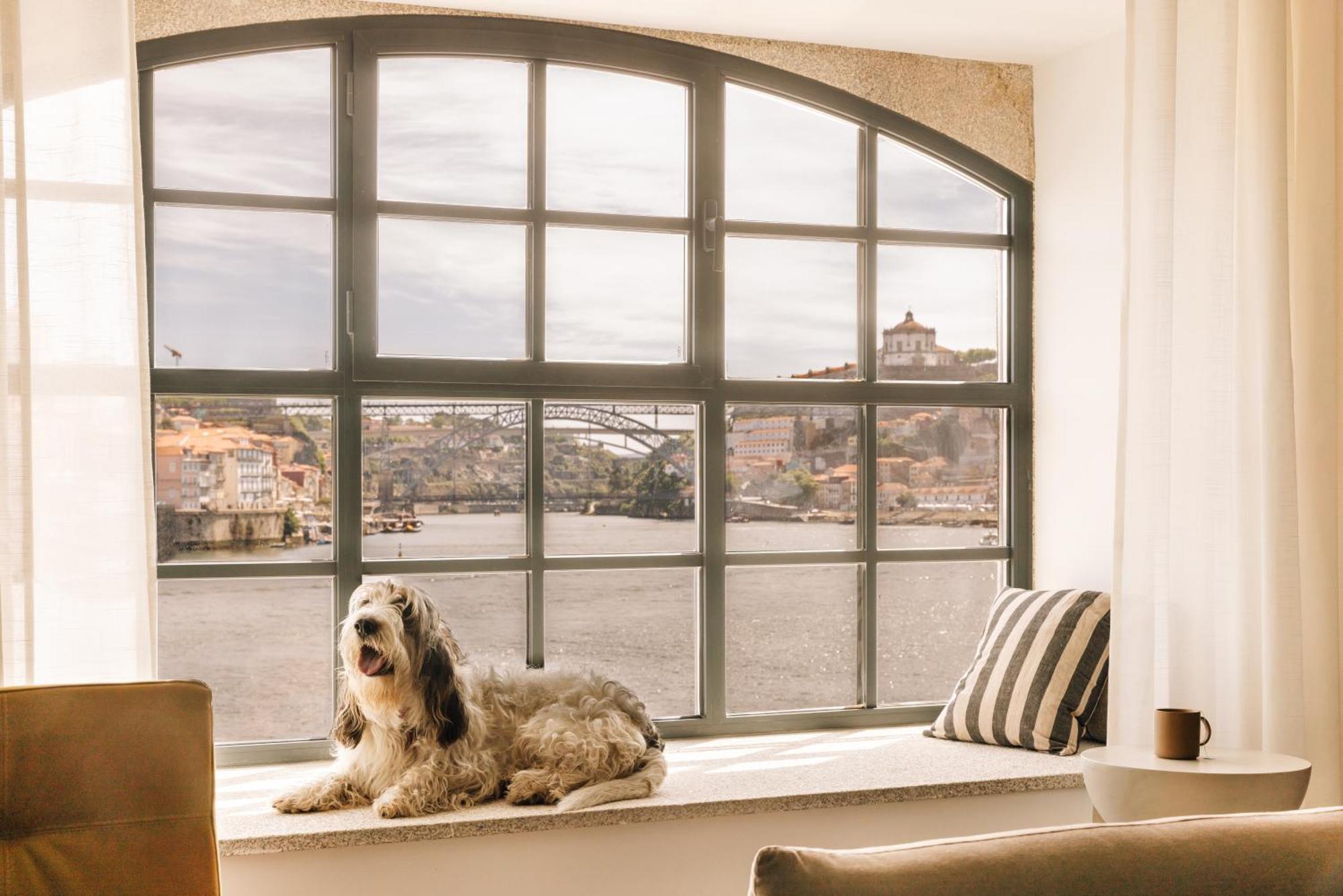 The Rebello Hotel & Spa - Small Luxury Hotels Of The World Βίλα Νόβα ντε Γκάια Εξωτερικό φωτογραφία A window with a dog